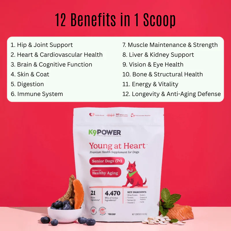 K9 Power Young at Heart Senior Dog Health Formula - Image 2
