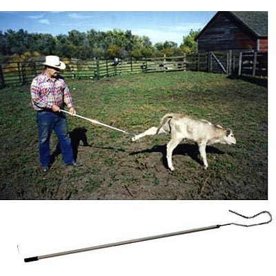 Kalf Katch (and Accessories) - Image 2