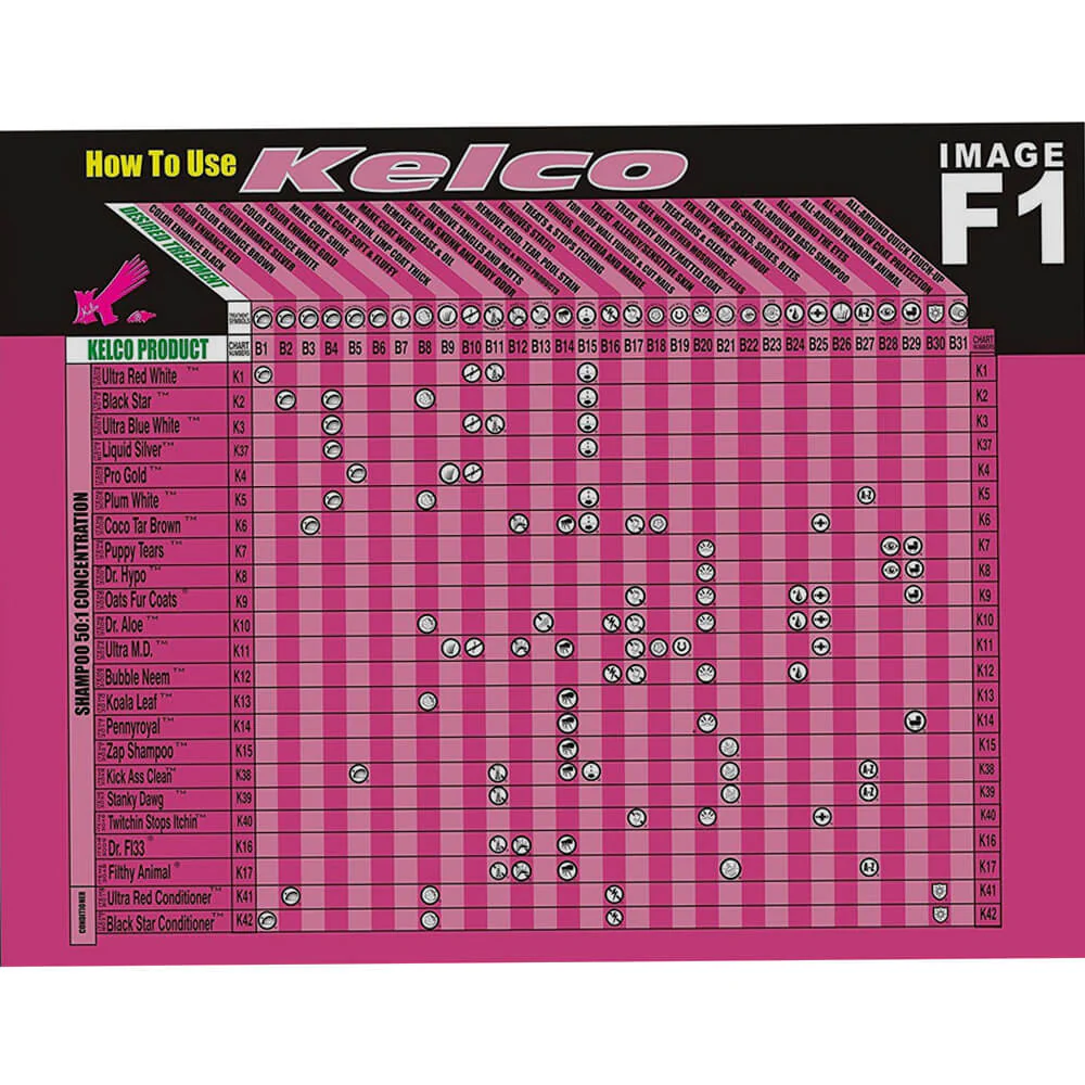 Kelco Kick Ass Clean Shampoo, 50:1 - Image 2
