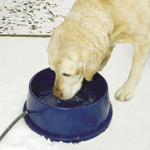 K&H Thermal-Bowl Heated Water Bowl - Image 2