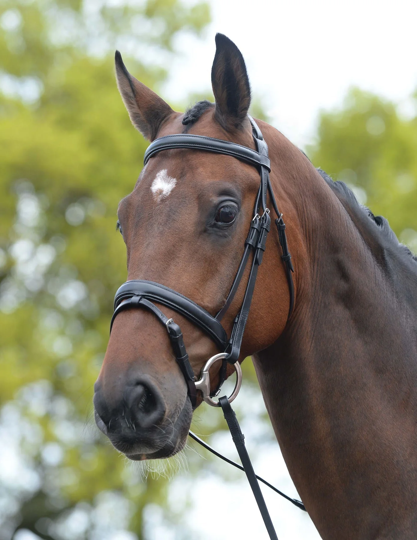 Kincade Leather Padded Flash Horse Bridle - Image 2