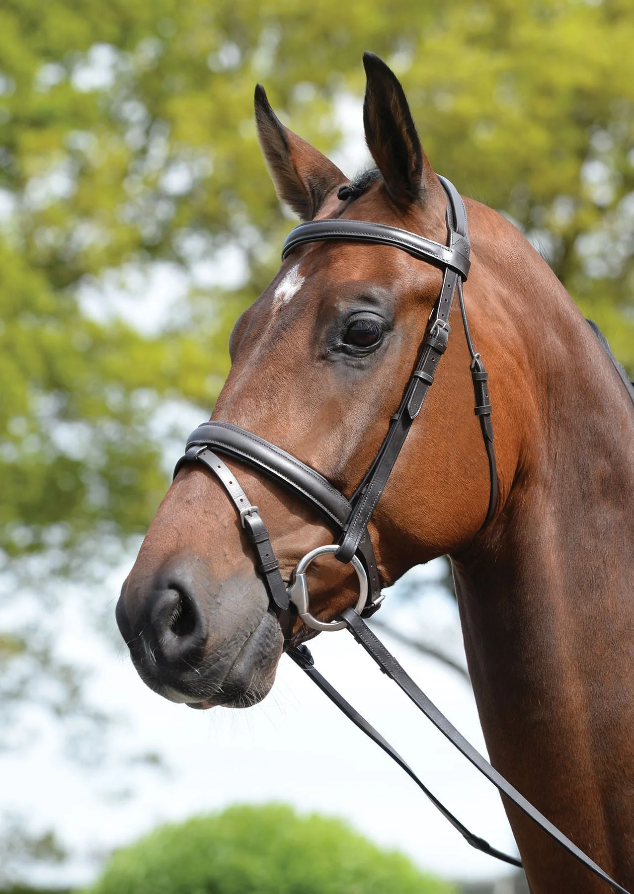 Kincade Leather Padded Flash Horse Bridle - Image 3