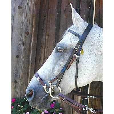 Kineton Noseband - Image 1