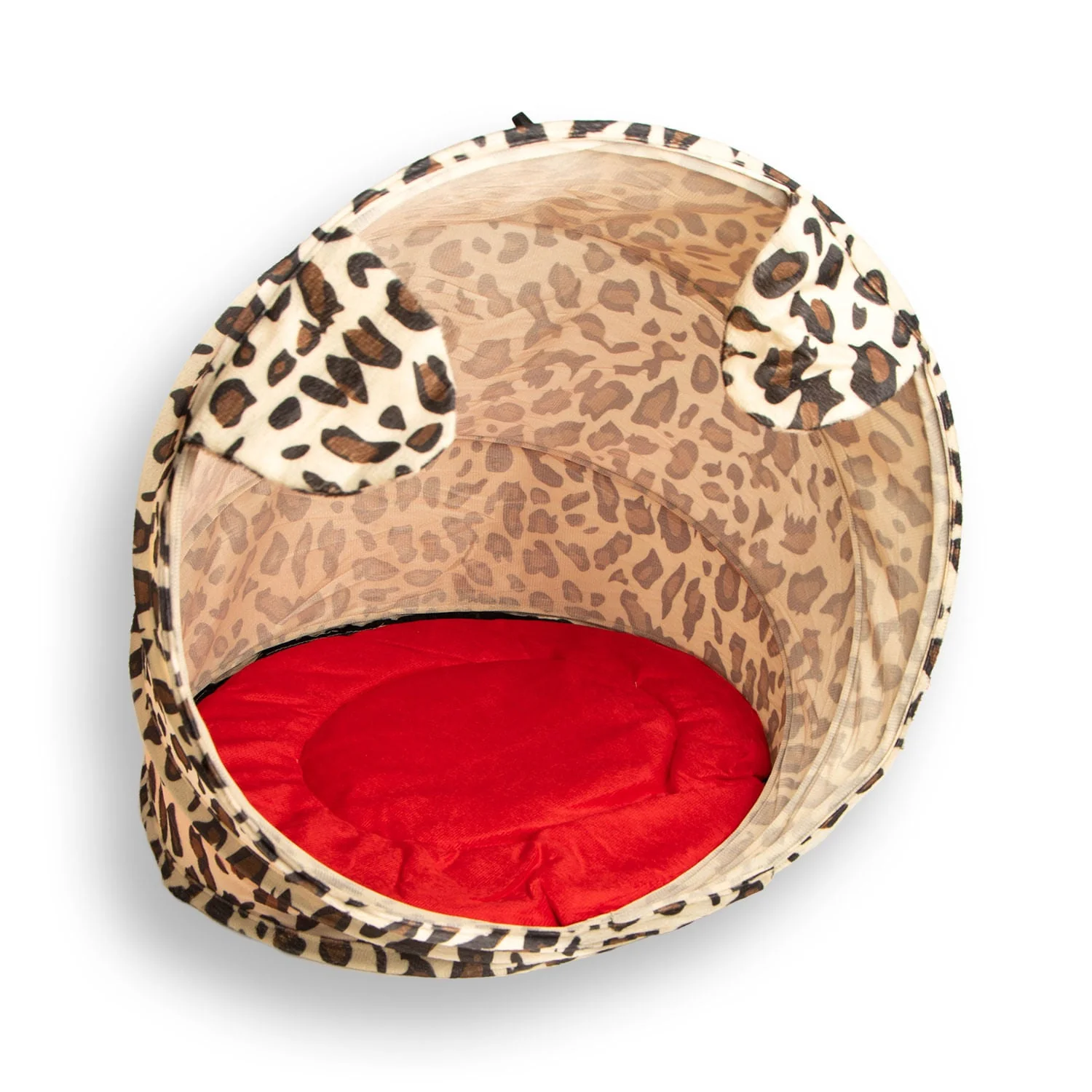 Kitty Cabana - Image 1