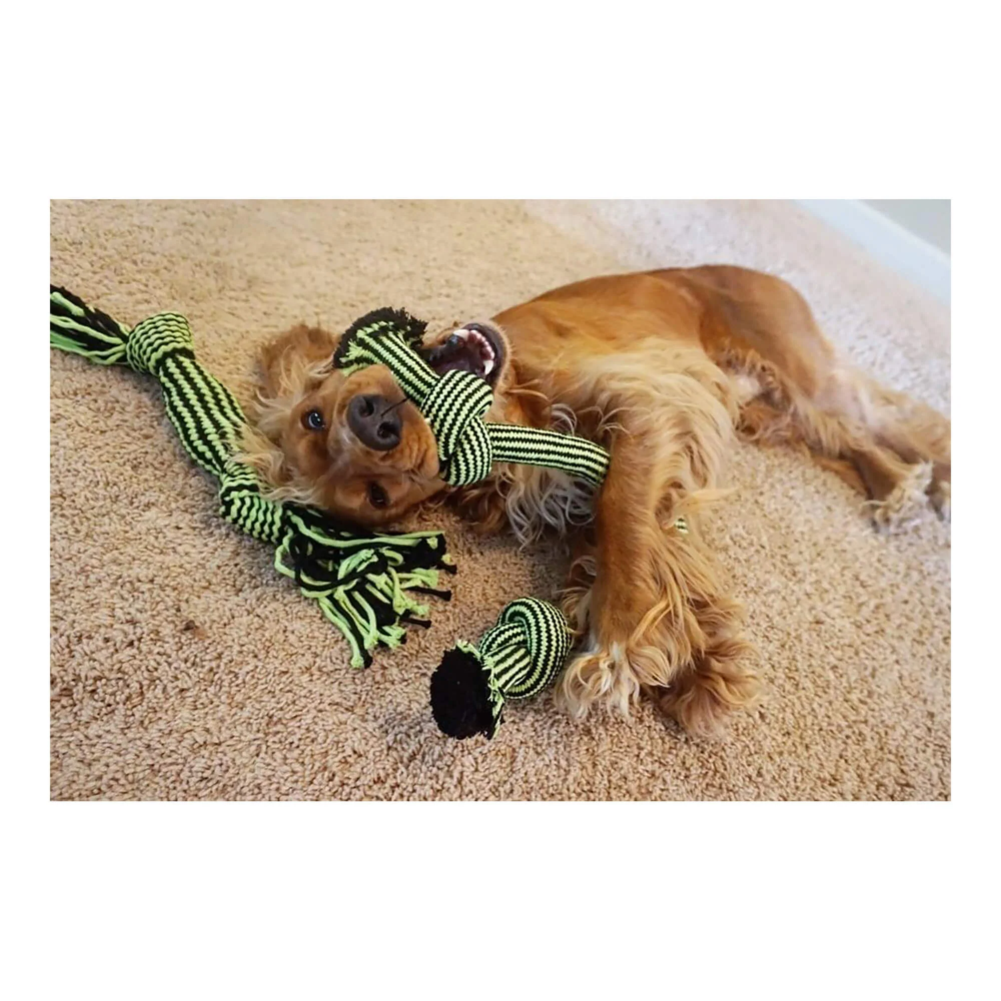 Knot-n-Chew, Small/Medium - Image 2