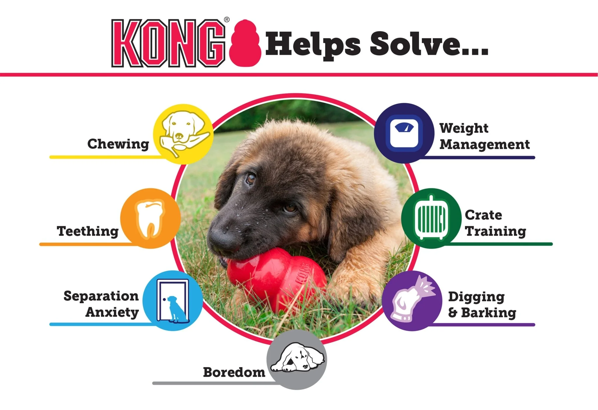 KONG Extreme Treat-Stuffing Dog Toy for Power Chewers - Image 2