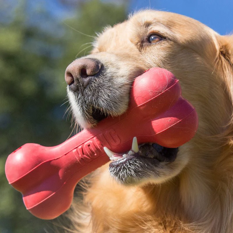KONG Goodie Bone Rubber Dog Chew Toy, Medium - Image 3