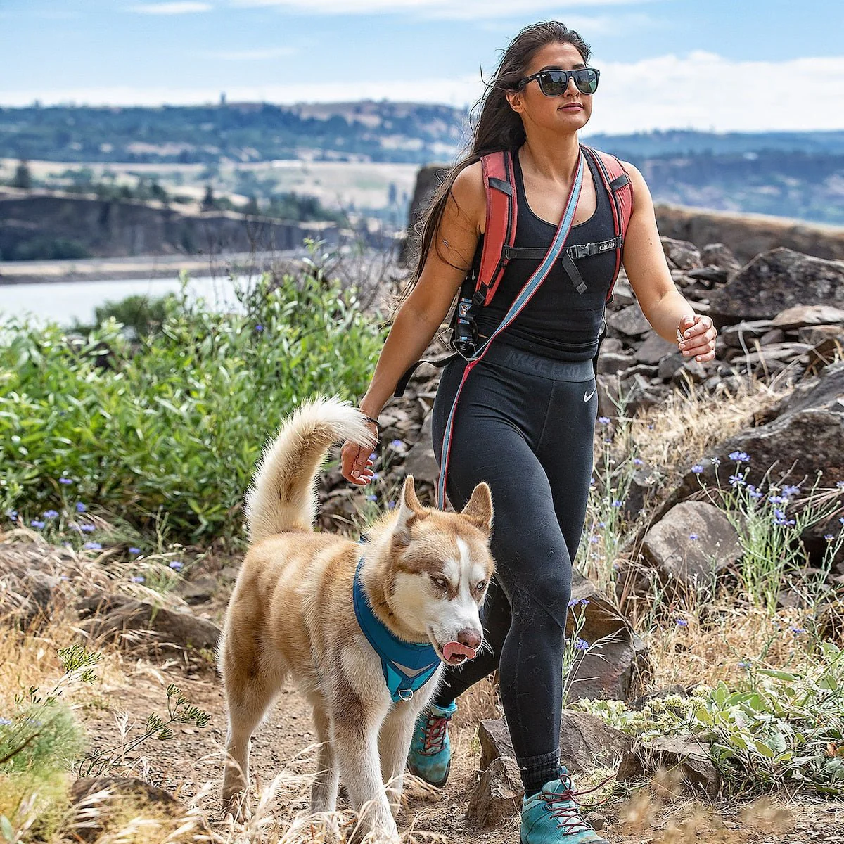 Kurgo Reflective Quantum Hands-Free Dog Leash – 6-in-1 Adjustable Multi-Use Leash - Image 2