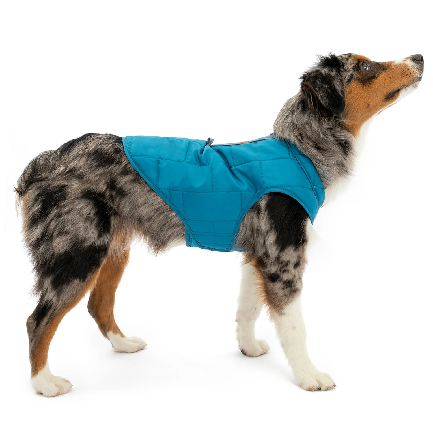 Kurgo Reversible Loft Jacket - Image 3