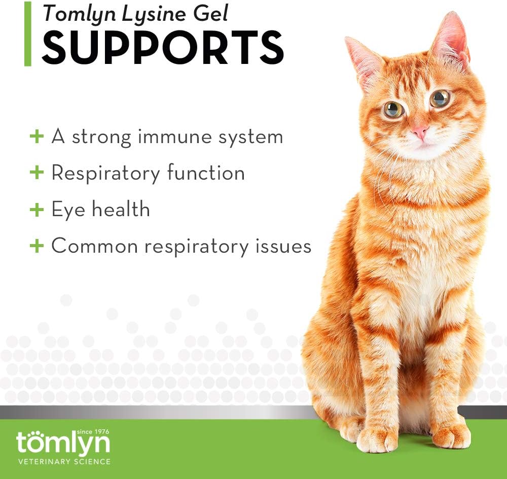 L-Lysine Immune Support Gel for Cats & Kittens - Image 2