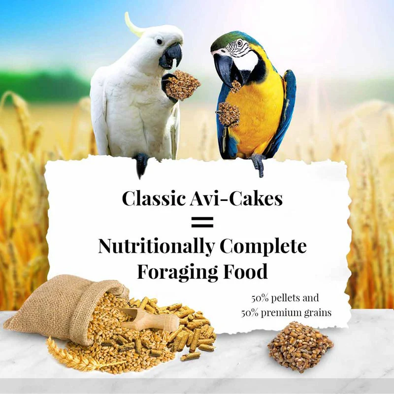 Lafeber Classic Avi-Cakes for Macaw & Cockatoo Birds - Image 2