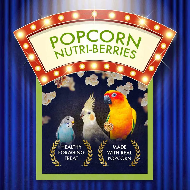 Lafeber® Popcorn Nutri-Berries® Treats for Cockatiels & Parrots, 4 oz - Image 3