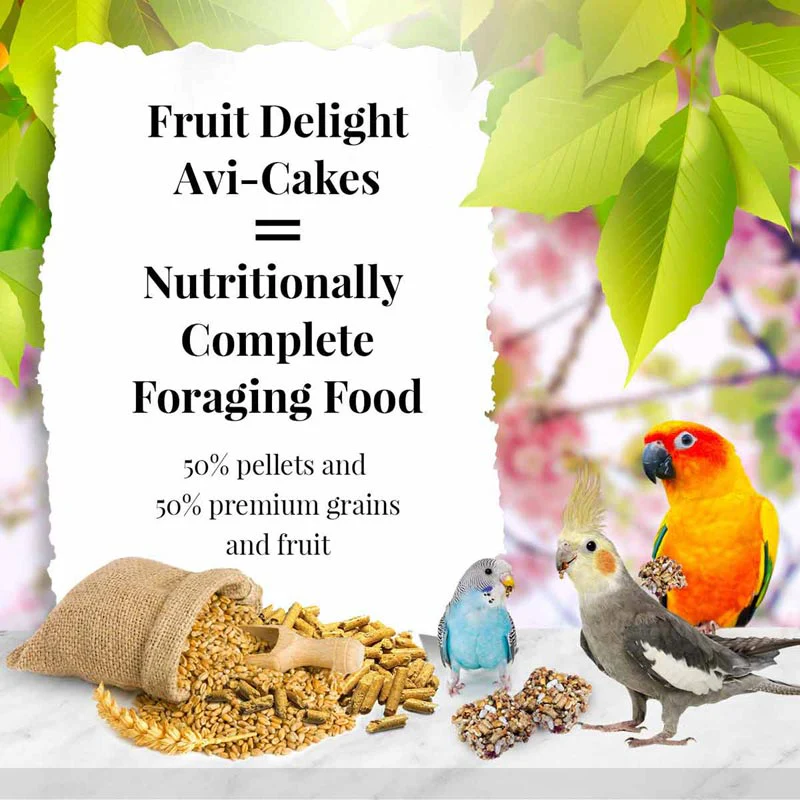 Lafeber Fruit Delight Avi-Cakes for Small Birds, 8 oz - Image 2