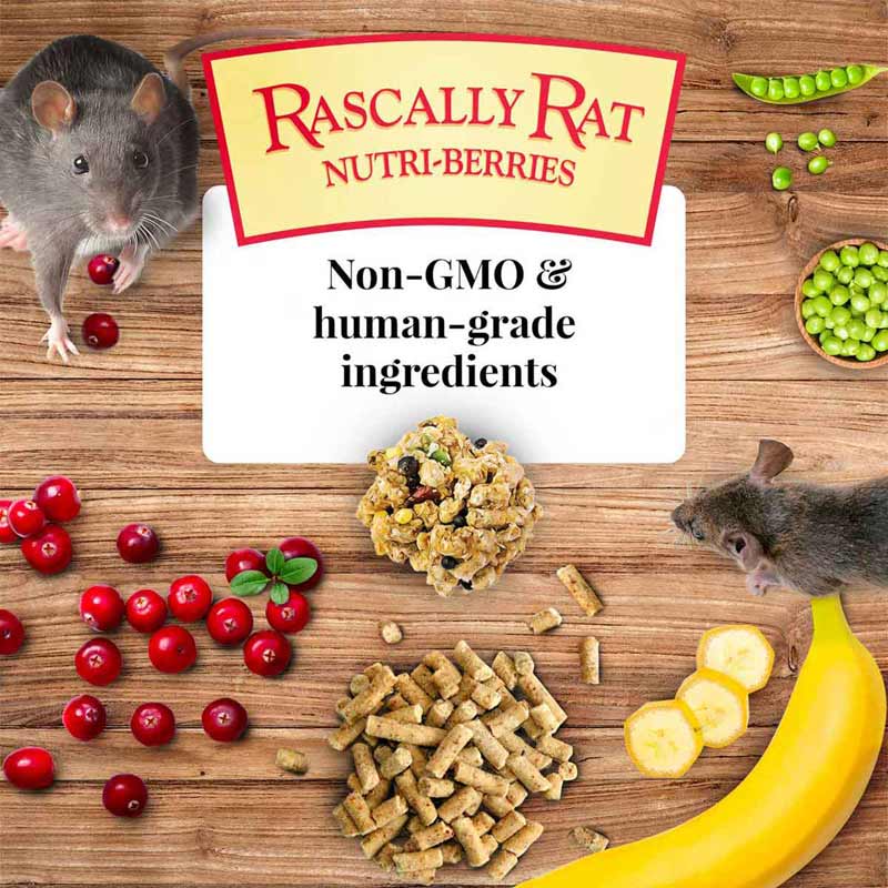 Lafeber Rascally Rat Nutri-Berries, 10 oz bag - Image 3