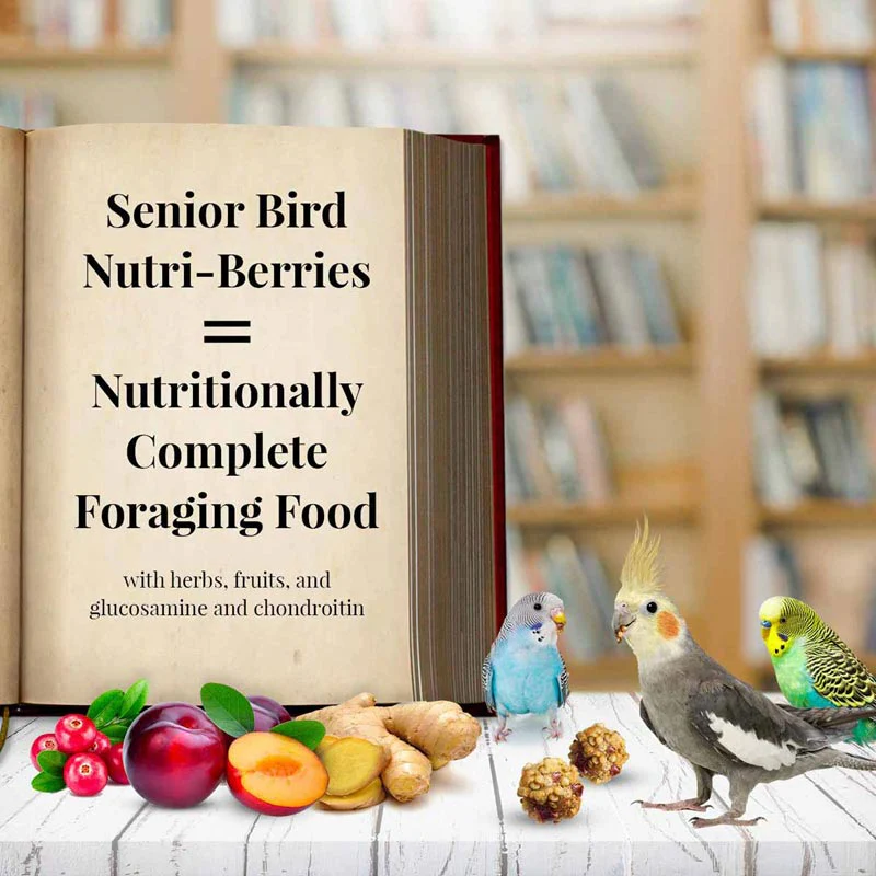 Lafeber Senior Bird Nutri-Berries for Parakeet & Cockatiel, 10 oz bag - Image 3