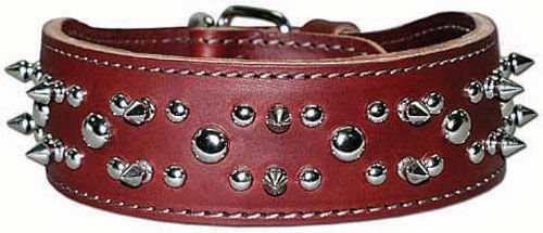 Latigo Spike & Stud Collar, 21" - Image 2