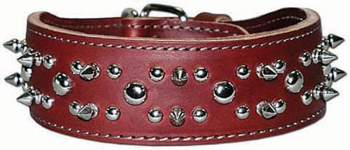 Latigo Spike & Stud Collar, 21" - Image 1