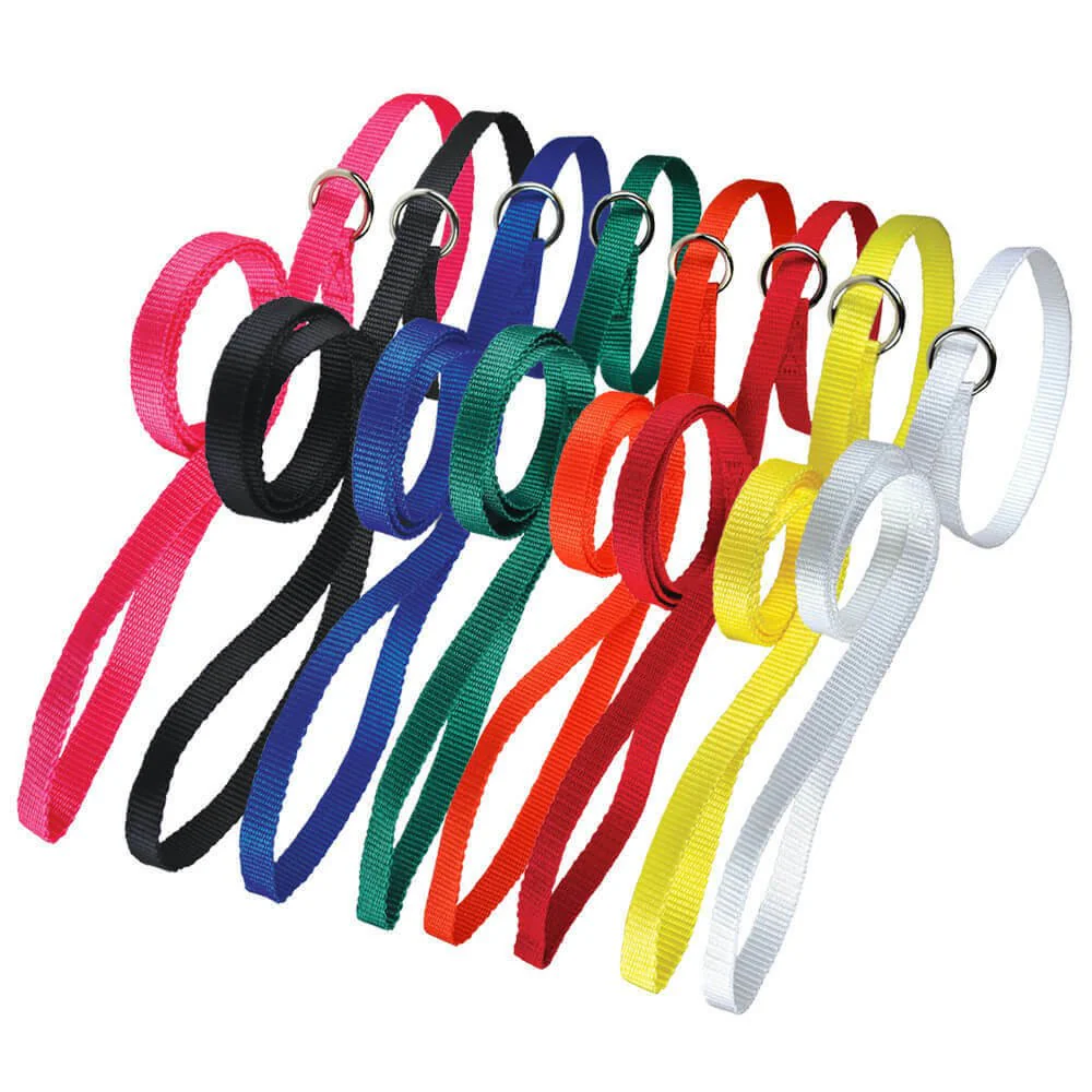 Lead Nylon Kennel Poly, Assorted, 20 pk, 4