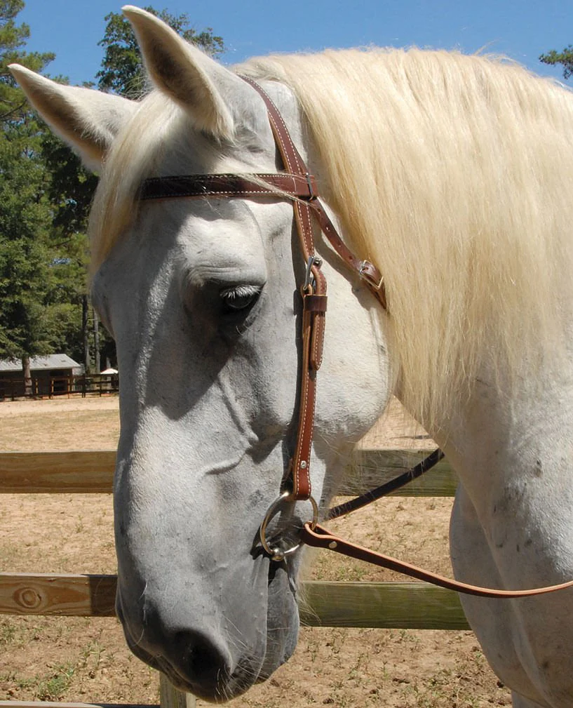 Weaver Leather Draft Horse 3 Piece - Bridle, Reins, & Snaffle Bit Set - Image 2