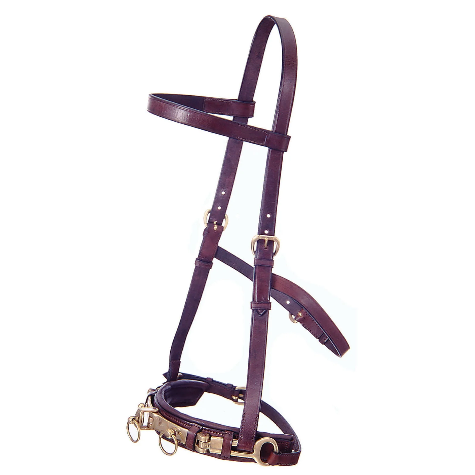 Leather Lunge Cavesson - Image 1