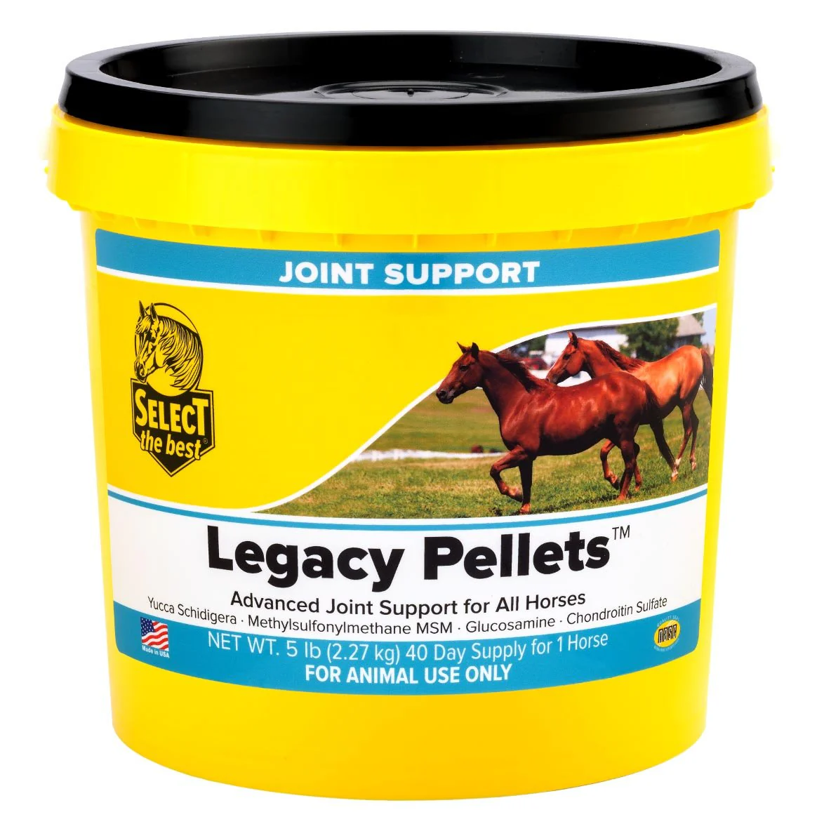 Legacy Advanced Horse Joint Supplement with Glucosamine, MSM, Chondroitin, Yucca, and Vitamins E & C – Pelleted Support for Mobility and Flexibility - Image 1