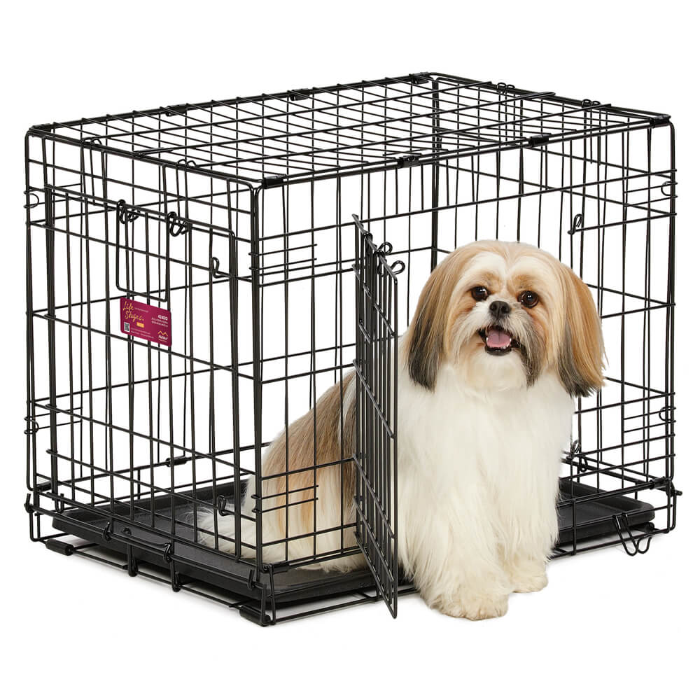 Life Stages ACE Double Door Crate for Dogs, Black, Small, 24" - Image 1