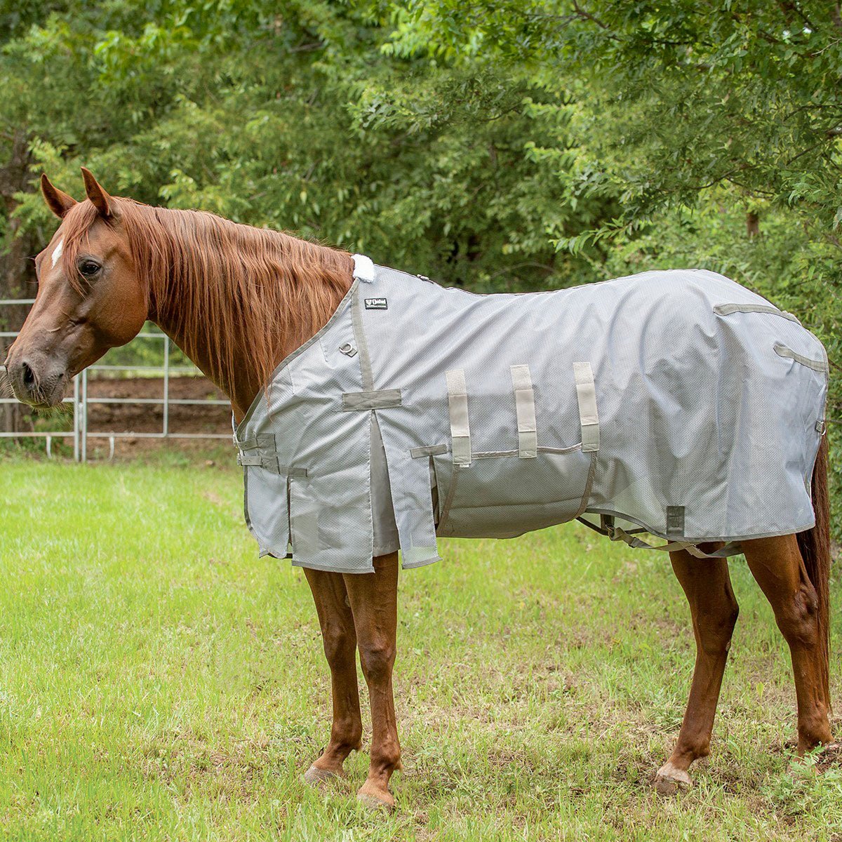 Cashel Lightweight Fly Sheet for Horses - Image 1