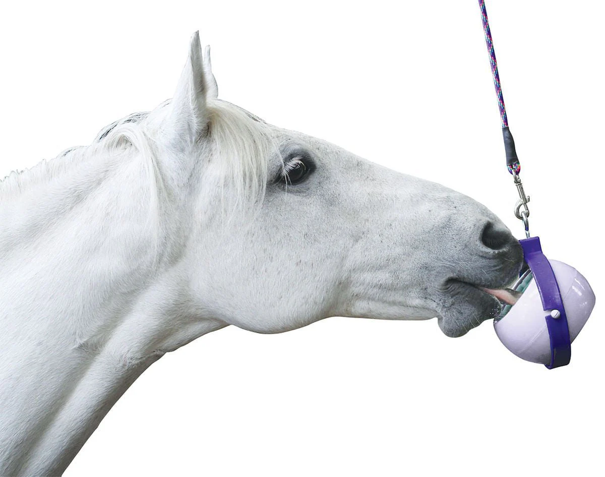 Likit Boredom Buster Toy for Horses - Image 3
