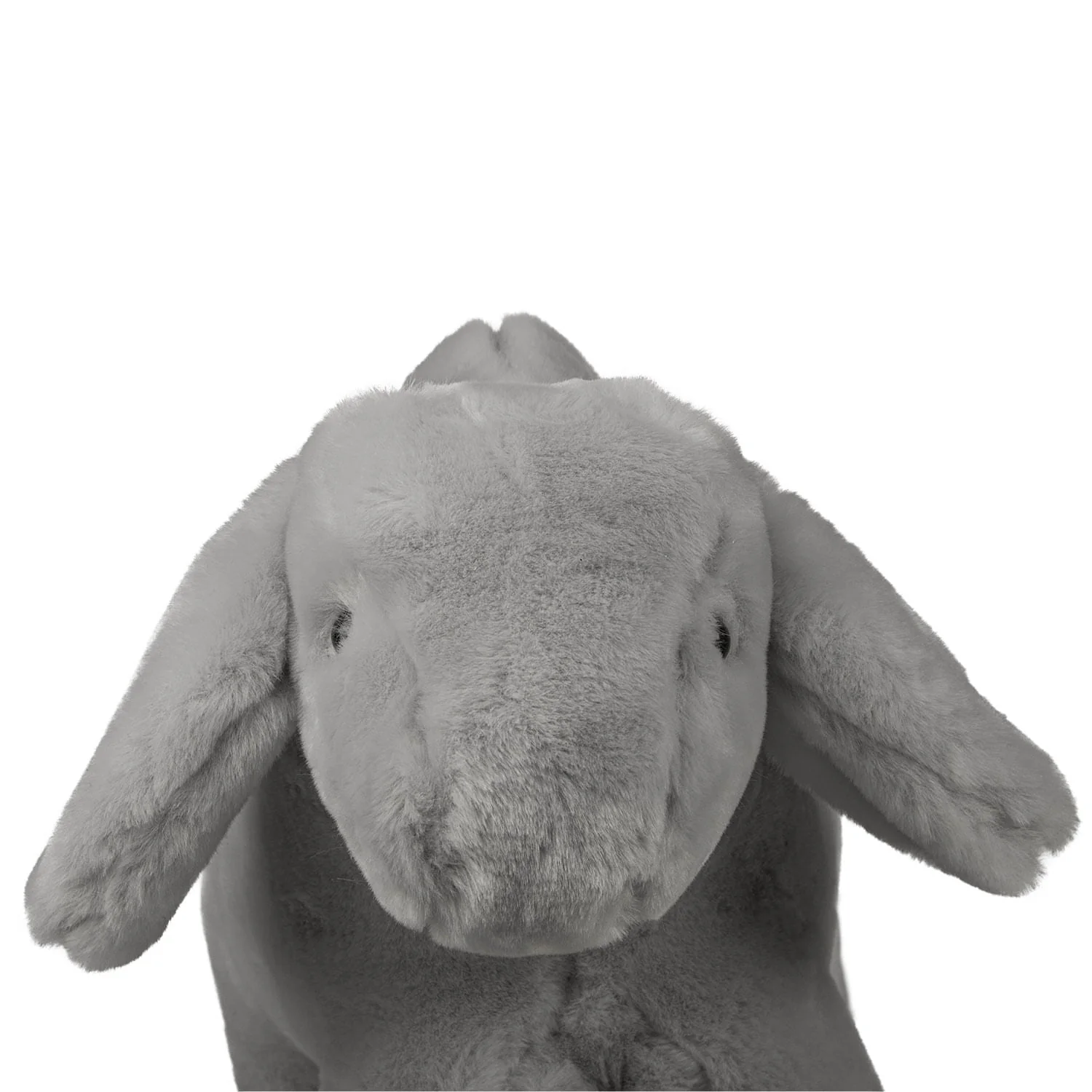 Little Buster Medium Plush Calf Brahman - Image 2
