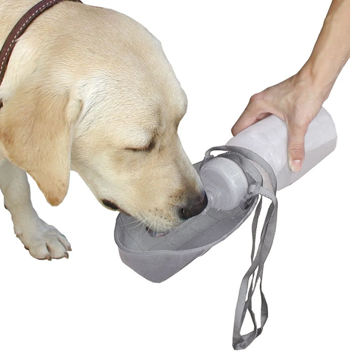 Lixit Thirsty Dog Sport Bottle, 20 oz - Image 1