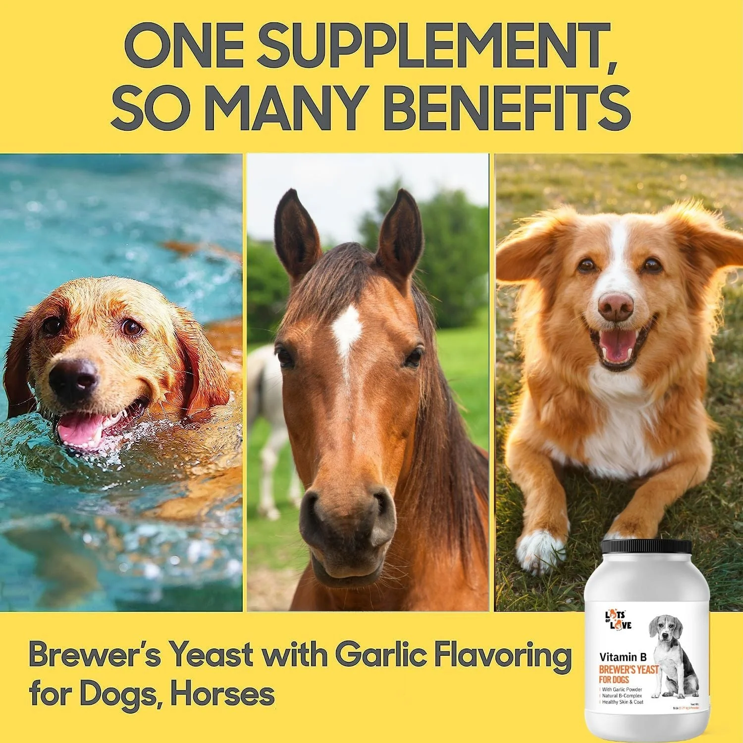 Lots of Love Brewer's Yeast/Garlic Powder - Image 3