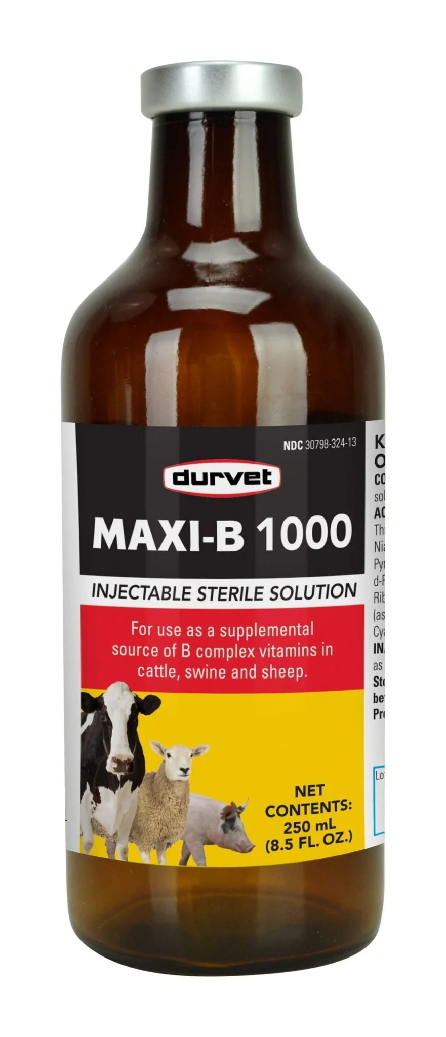Maxi B 1000, 100 ml - Image 1