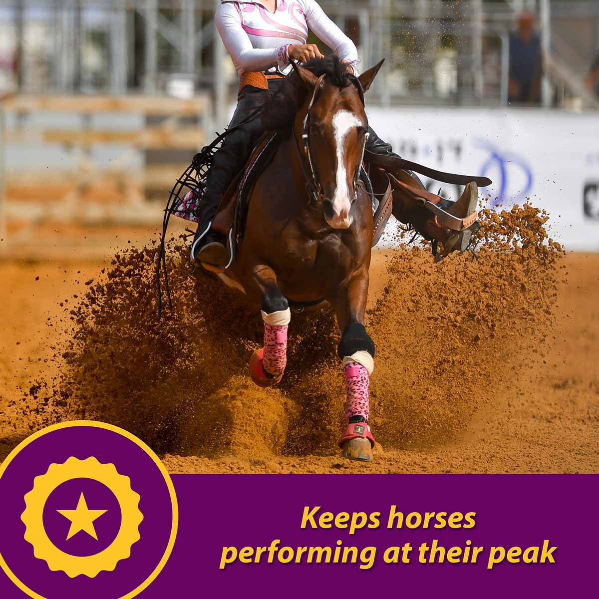 Maxum Crumbles Concentrated Feed Supplement for Horses - Image 2