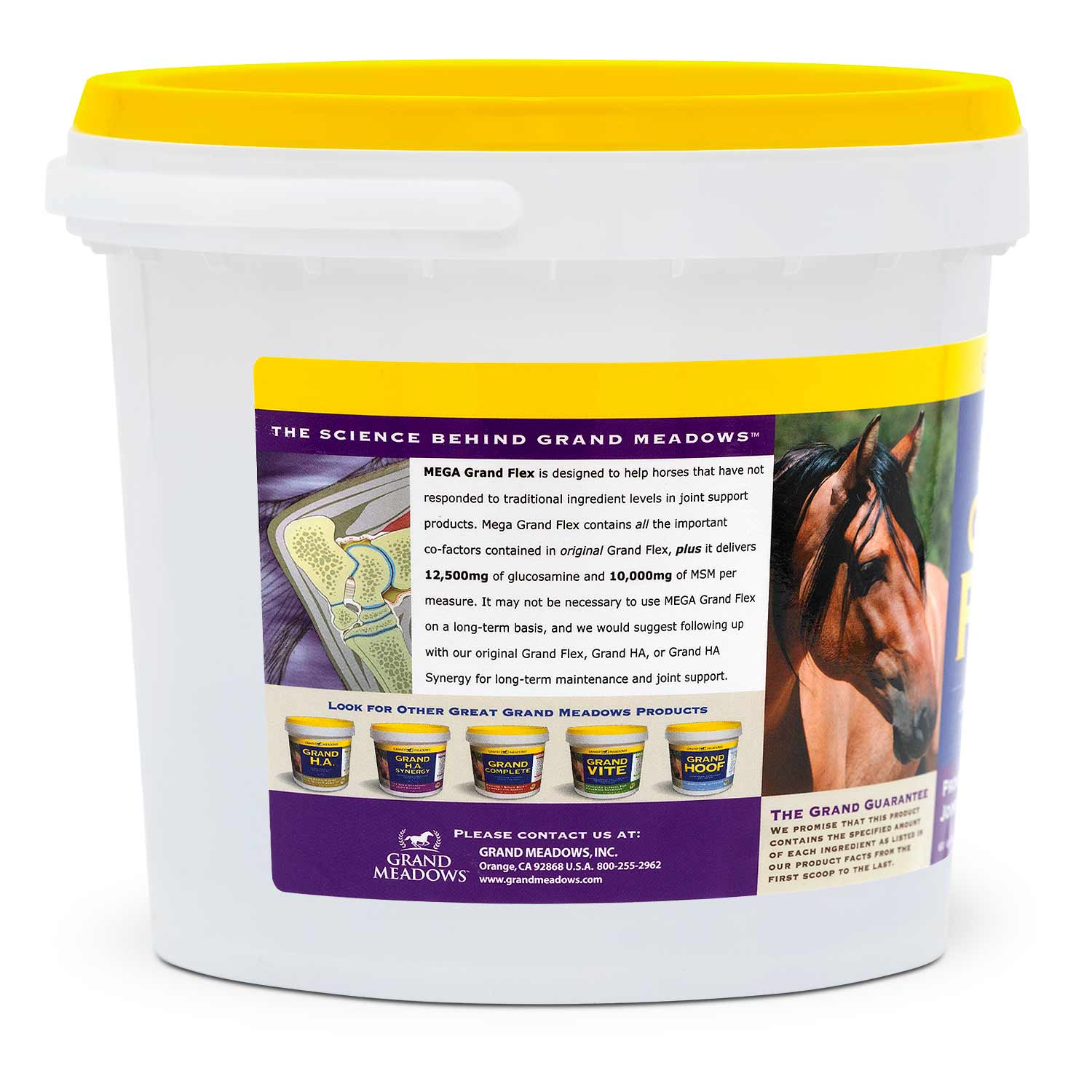 Mega Grand Flex Joint Supplement for Horses - Image 2