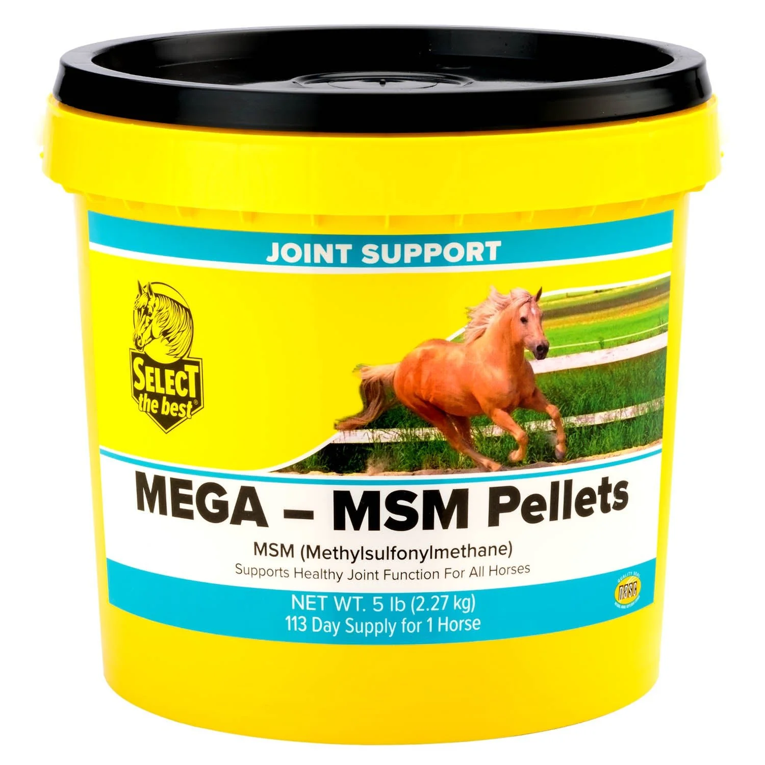 Mega-MSM Pellets Joint Supplement for Horses – 10,000 mg MSM with Stabilized Rice Bran for Mobility & Flexibility - Image 1