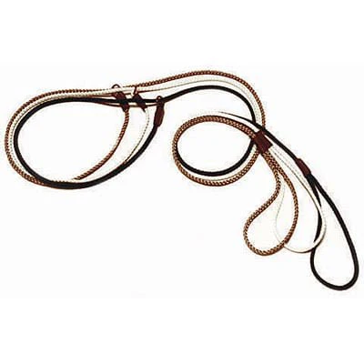 Mendota British Pet Show Dog Slip Leash - Image 1