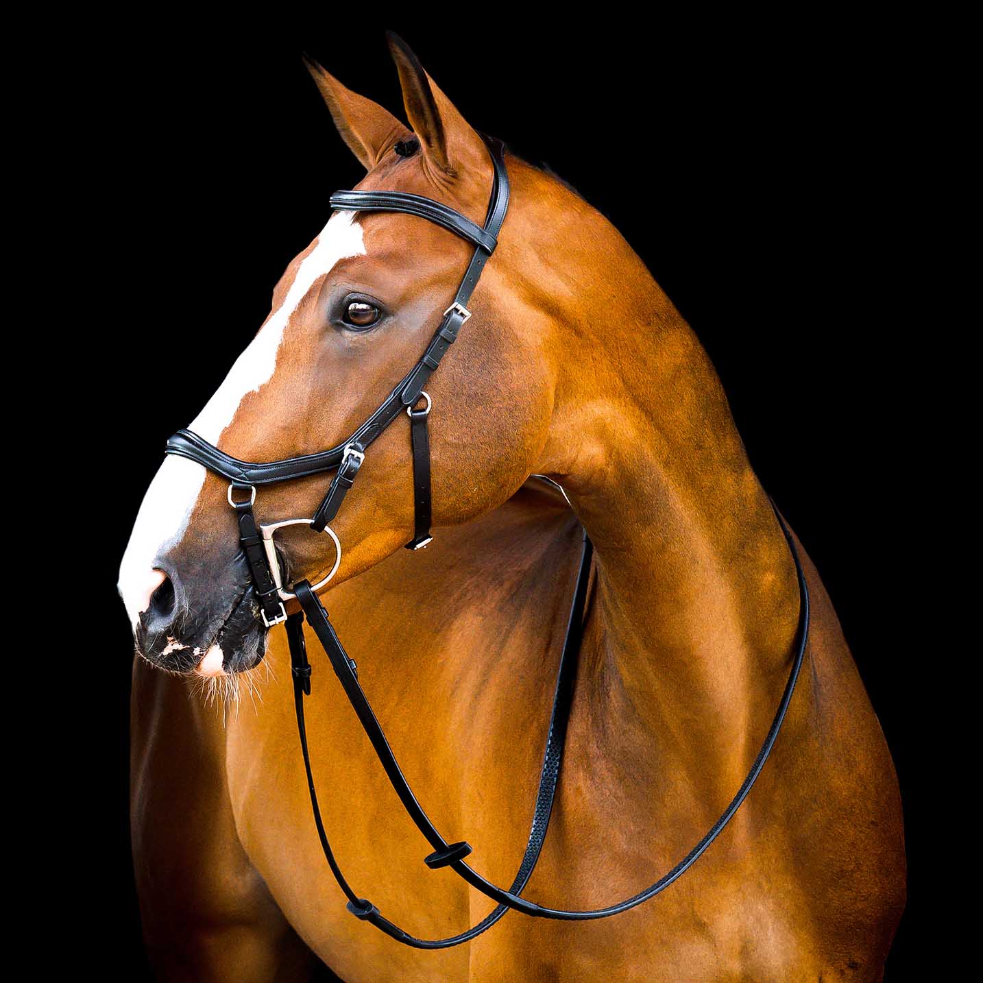 Micklem 2.0 Deluxe Competition Bridle for Horses - Padded Leather, Reins Included, Dressage & Show Bridle - Image 2