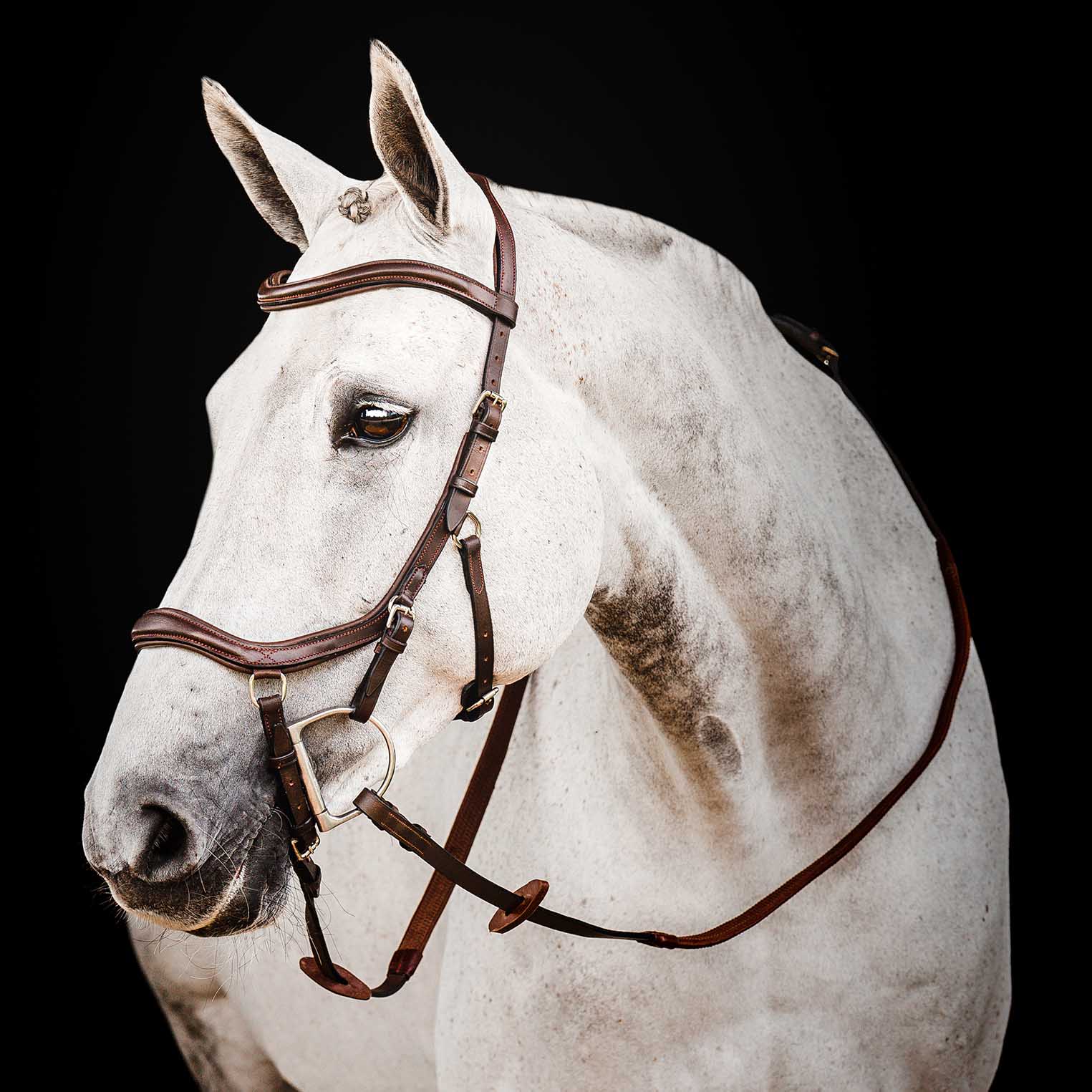 Micklem 2.0 Deluxe Competition Bridle for Horses - Padded Leather, Reins Included, Dressage & Show Bridle - Image 1