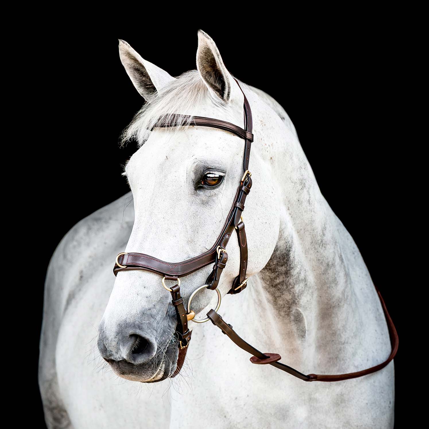 Micklem 2.0 Multi Bridle for Horses – Adjustable Bit Straps, Padded Leather, Pressure-Relief Design - Image 1