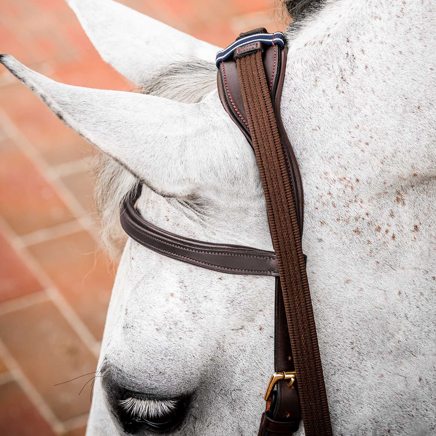 Micklem 2.0 Multi Bridle for Horses – Adjustable Bit Straps, Padded Leather, Pressure-Relief Design - Image 2