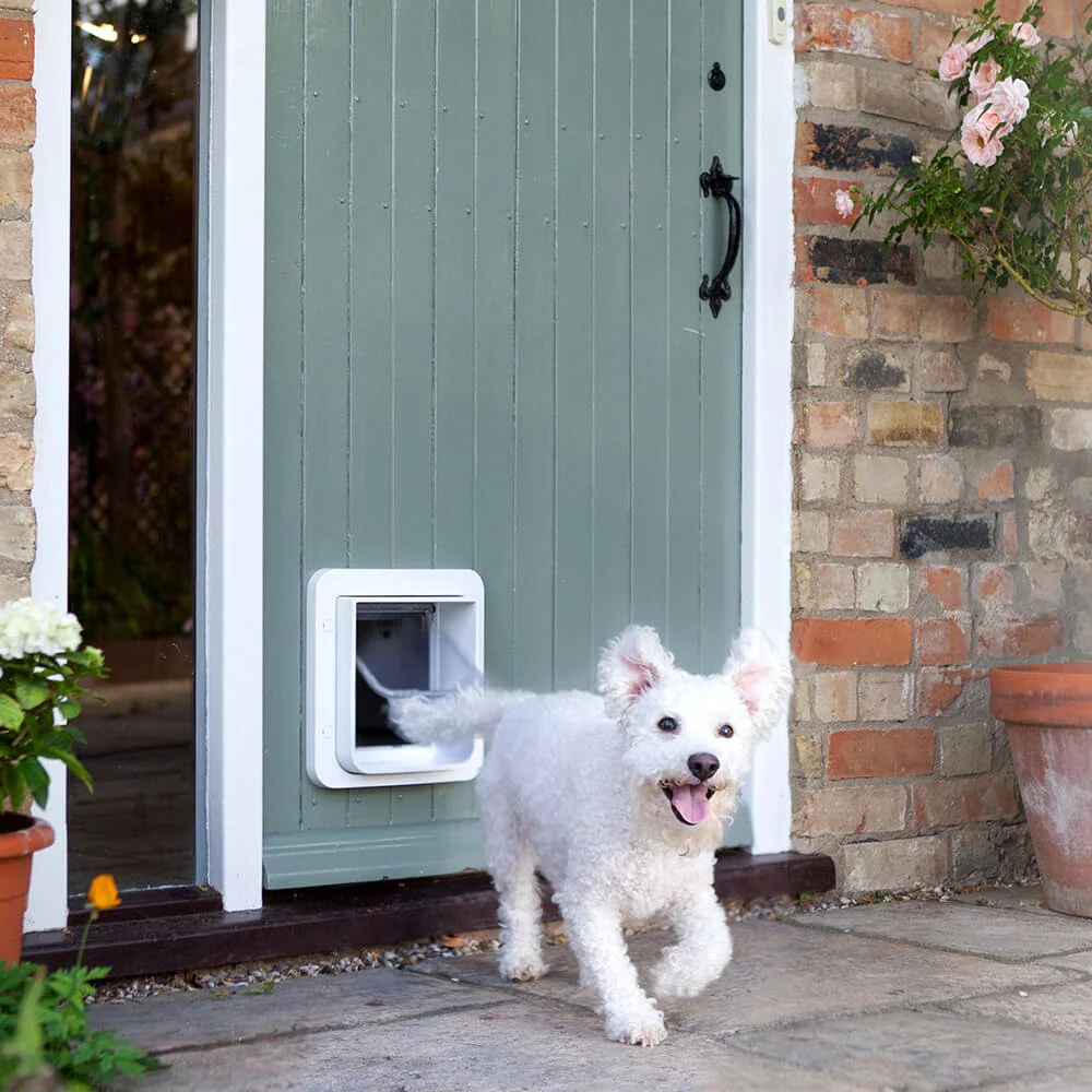 Microchip Pet Door White - Image 2