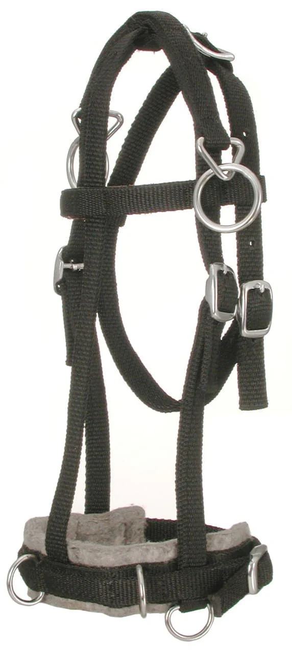 Miniature Horse Nylon Training Caveson, Brown - Image 1
