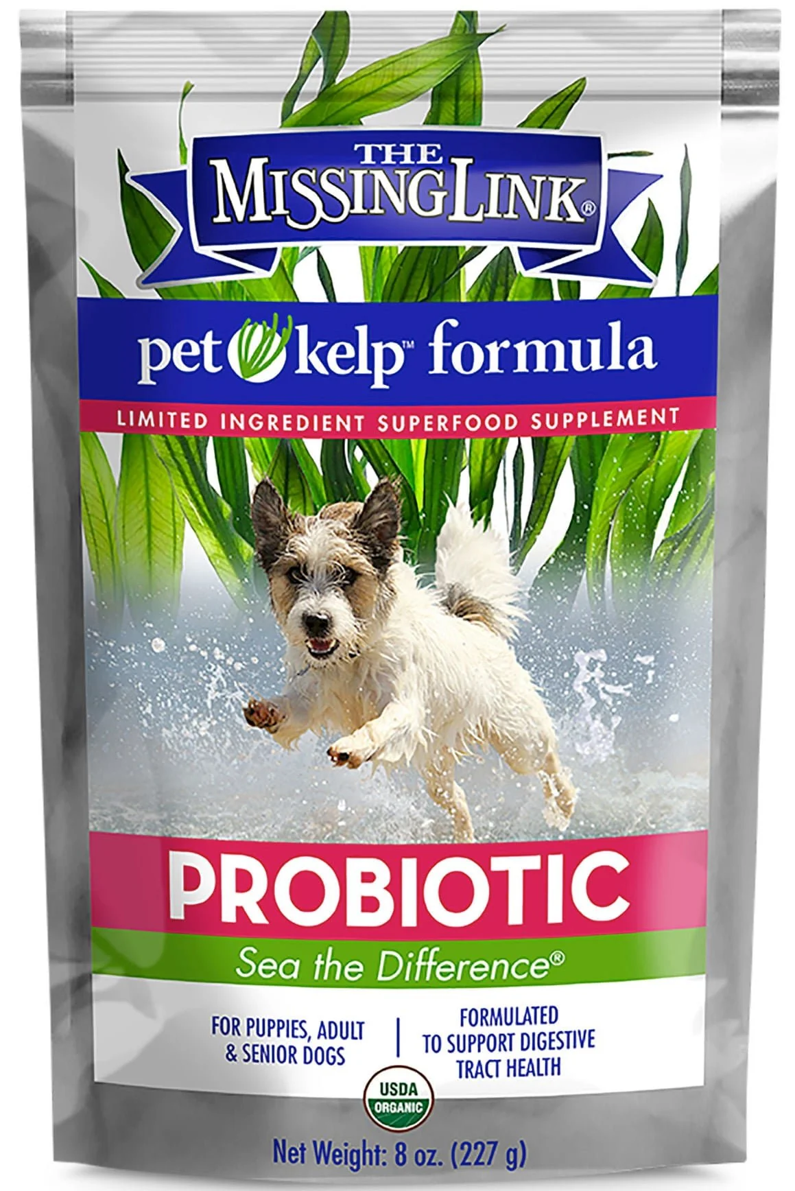 Missing Link Pet Kelp Probiotic Blend for Dogs, 8 oz - Image 1