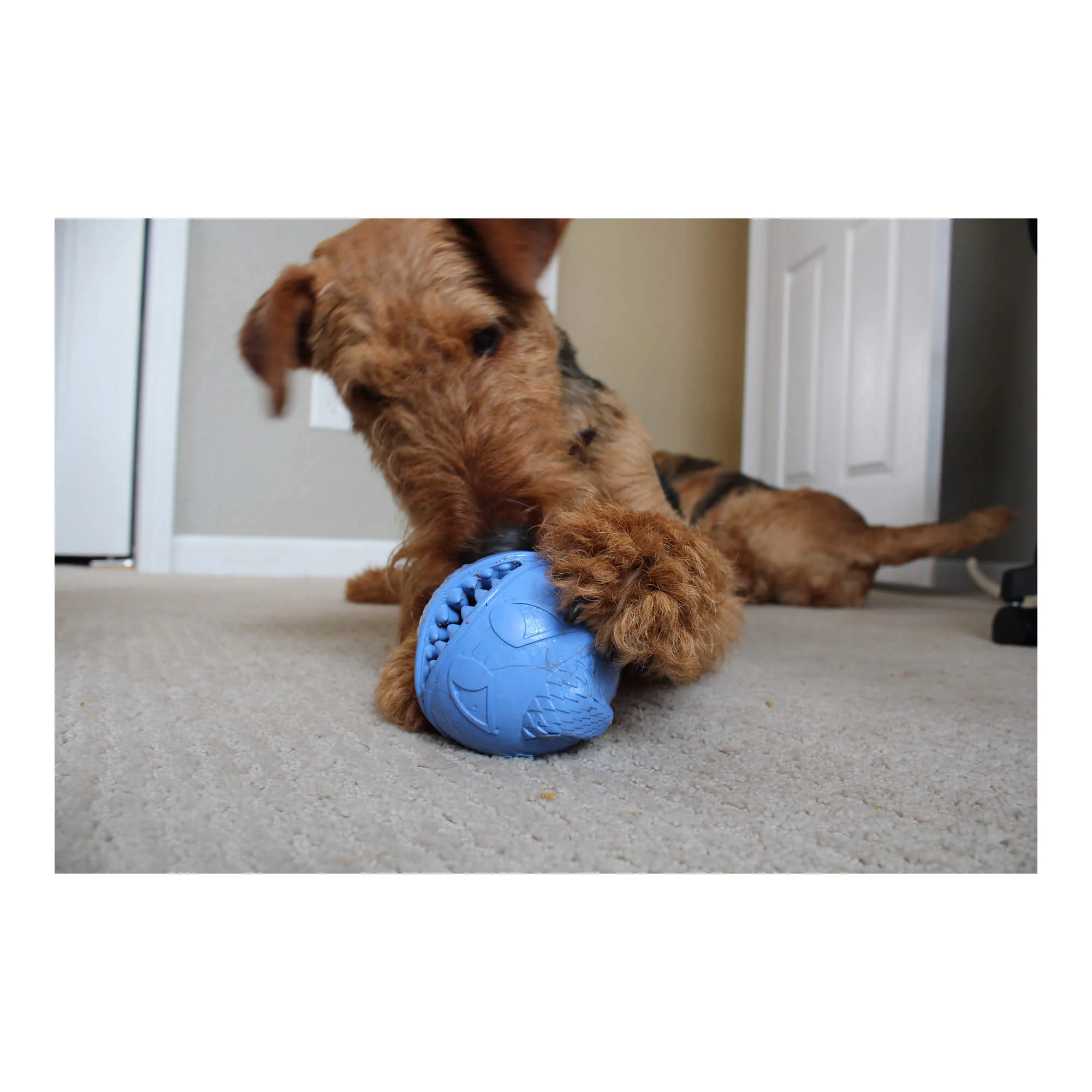 Monster Ball Treat-Dispensing Dog Chew Toy – Stuff, Freeze & Chew Interactive Toy for Dogs - Image 2