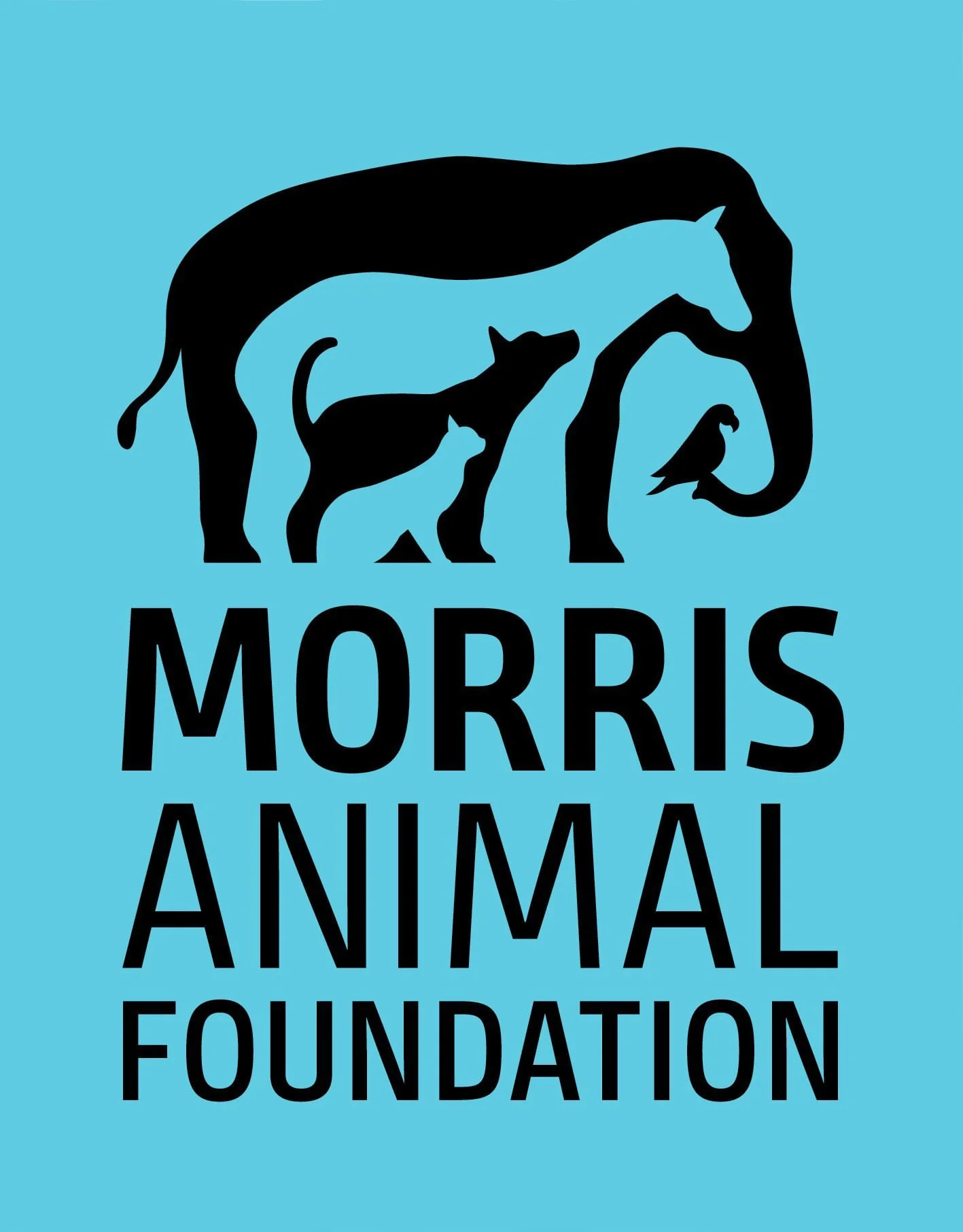 Morris Animal Foundation Donation - Image 1