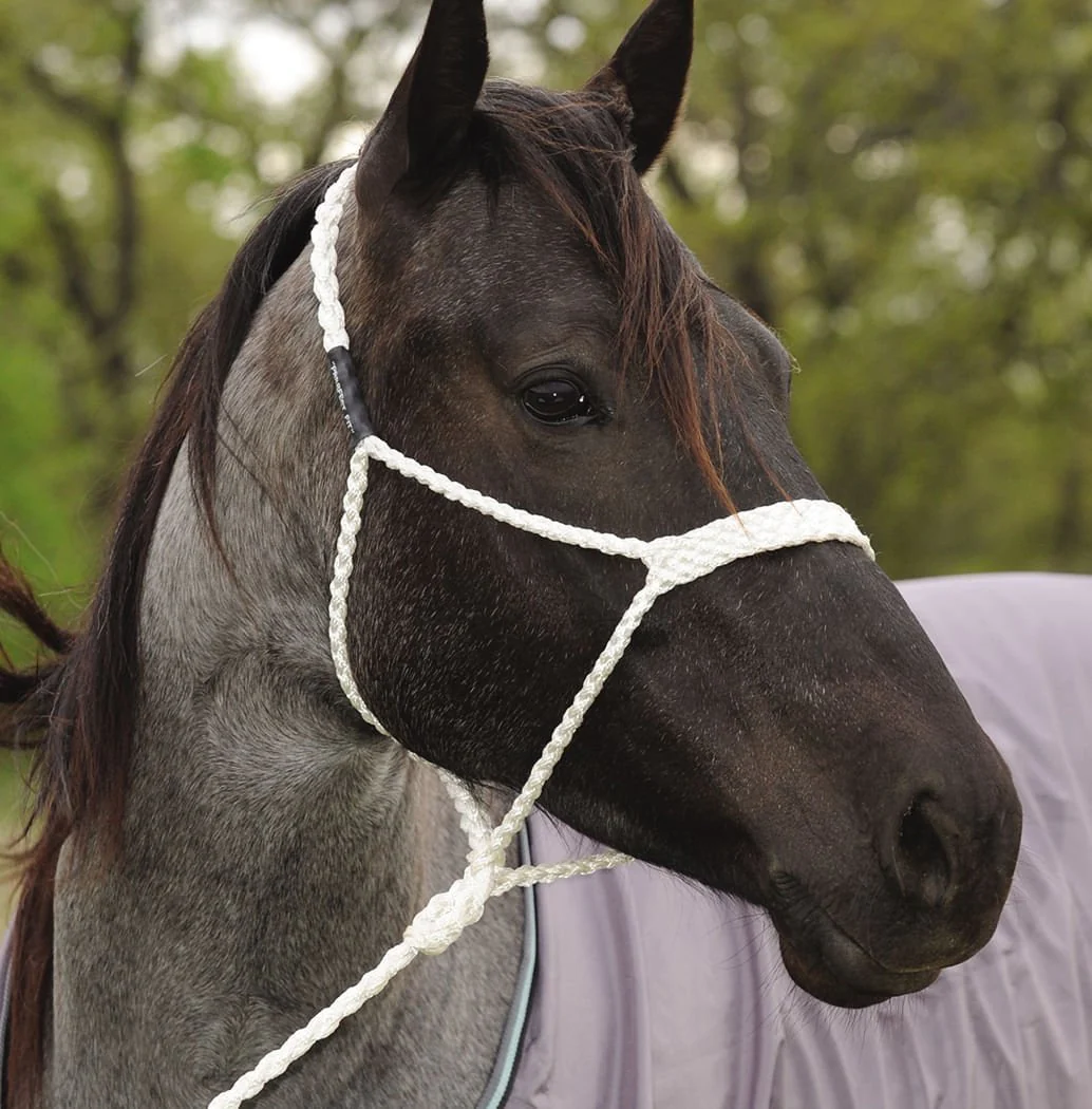 Mule Tape Halter, White - Image 1