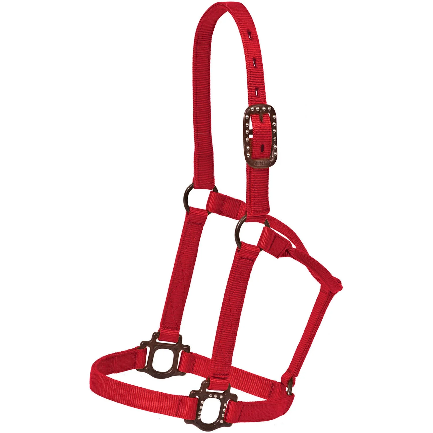 Mustang Nylon Halter with Antique Dot Hardware for Horses - Image 1