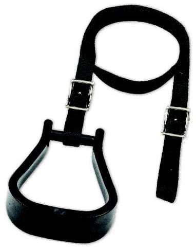 Mustang’s Mounting Stirrup