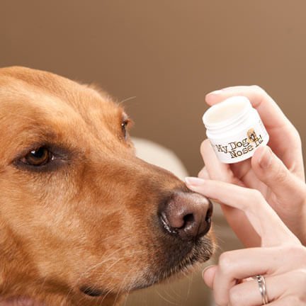 My Dog Nose It Doggy Sunscreen - Image 2