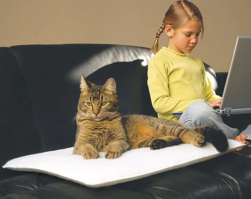 Mysterious Purr Padd for Cats